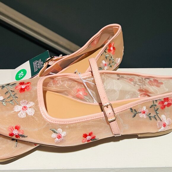 Wilde Fable Pink Embroidered Balletcore Embroidered Flats – Various Sizes - Picture 12 of 12